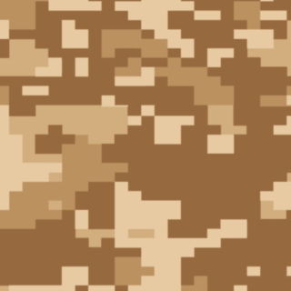 DIGITAL CAMO