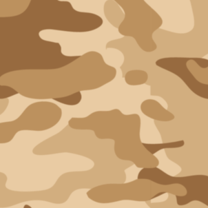 CAMO