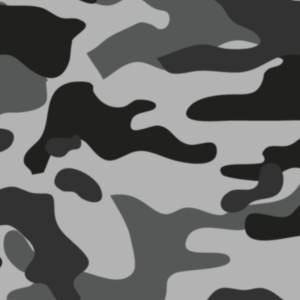 CAMO