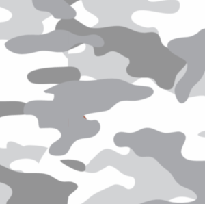 CAMO