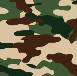 CAMO